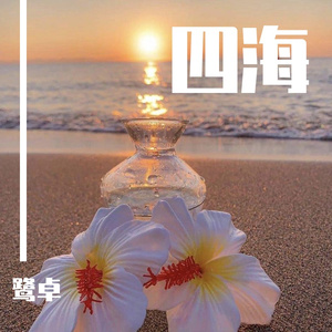 藤原辽子初菊门注入
