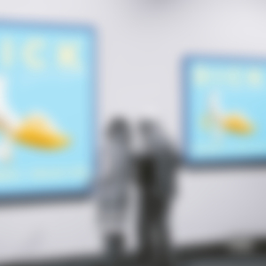 藤原辽子初菊门注入
