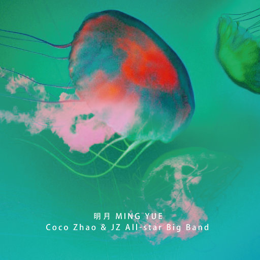 藤原辽子初菊门注入
